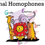 new animal homophone