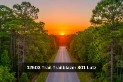 12503 trail trailblazer 301 lutz