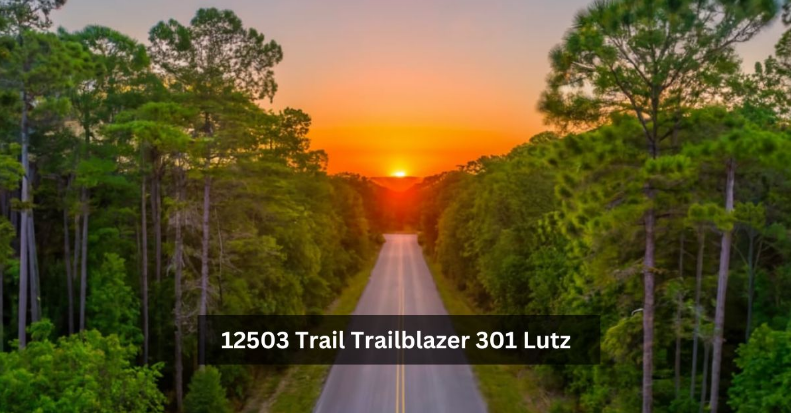 12503 trail trailblazer 301 lutz