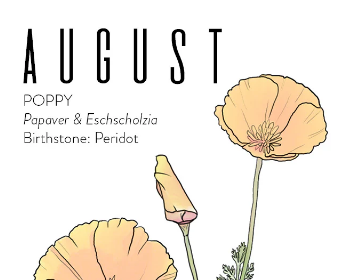 august birth flower