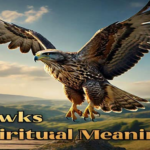 hawk spiritual meaning