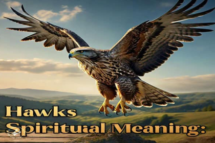 hawk spiritual meaning