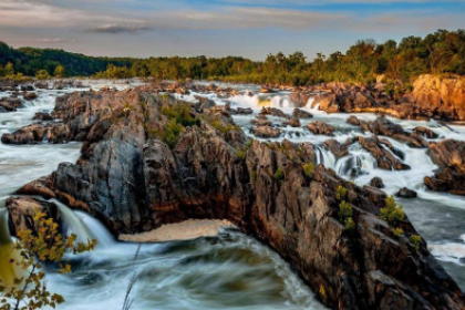 edward swallow great falls virginia