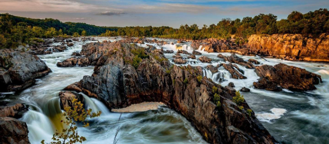 edward swallow great falls virginia