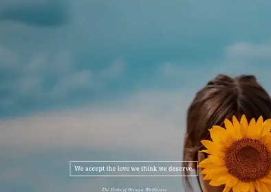 sunflower quotes