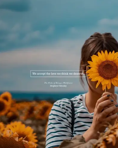 sunflower quotes